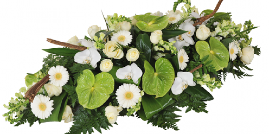 Fleurs VDB